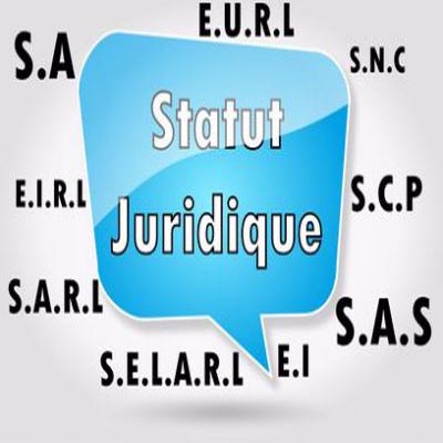 Choix des Statuts
